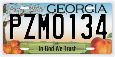 GA license plate PZM0134