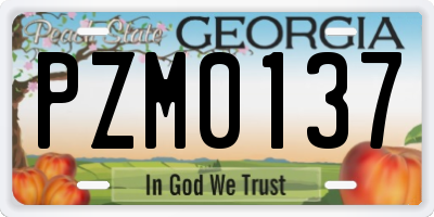 GA license plate PZM0137