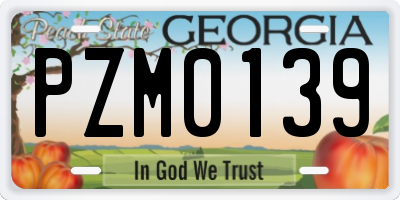 GA license plate PZM0139