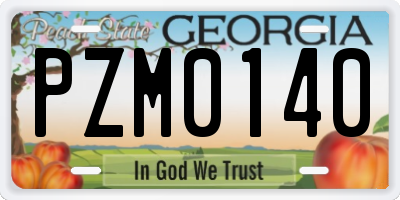 GA license plate PZM0140