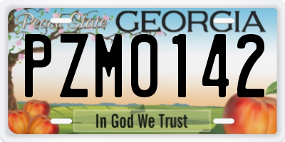 GA license plate PZM0142
