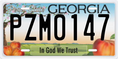 GA license plate PZM0147