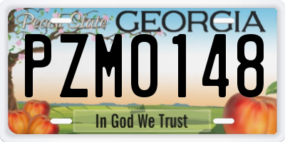 GA license plate PZM0148