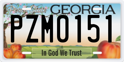 GA license plate PZM0151