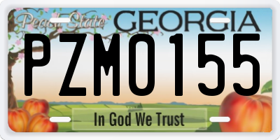 GA license plate PZM0155