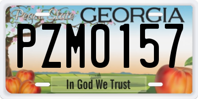 GA license plate PZM0157