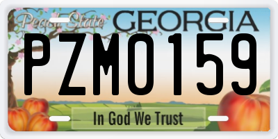 GA license plate PZM0159