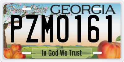 GA license plate PZM0161