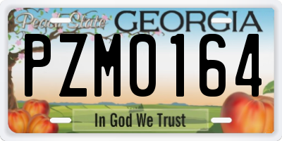 GA license plate PZM0164