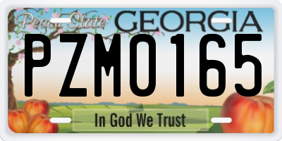 GA license plate PZM0165