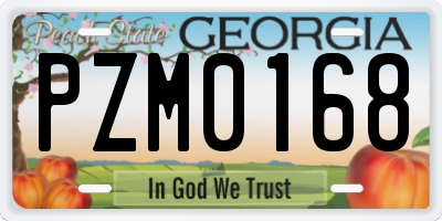 GA license plate PZM0168