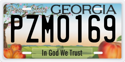 GA license plate PZM0169