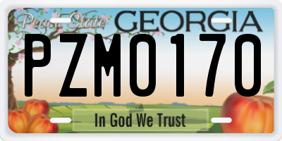 GA license plate PZM0170