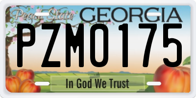 GA license plate PZM0175
