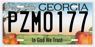 GA license plate PZM0177