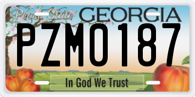 GA license plate PZM0187