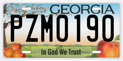GA license plate PZM0190