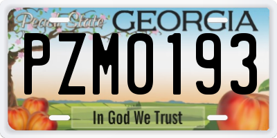 GA license plate PZM0193