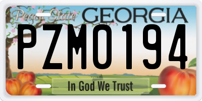 GA license plate PZM0194