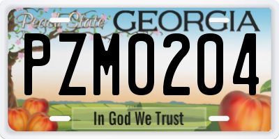 GA license plate PZM0204