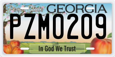 GA license plate PZM0209