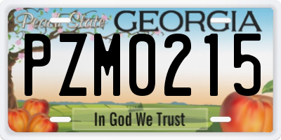 GA license plate PZM0215