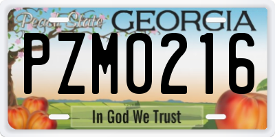GA license plate PZM0216
