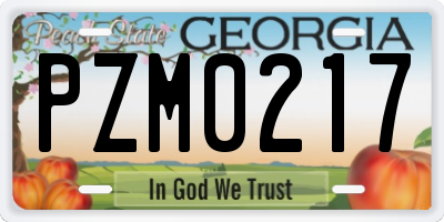 GA license plate PZM0217