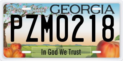 GA license plate PZM0218