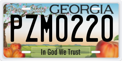 GA license plate PZM0220