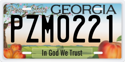 GA license plate PZM0221