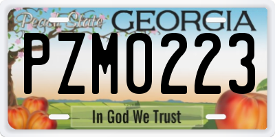 GA license plate PZM0223
