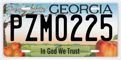 GA license plate PZM0225