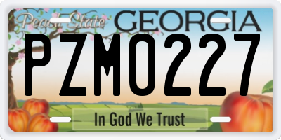 GA license plate PZM0227
