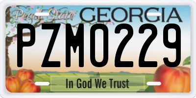 GA license plate PZM0229