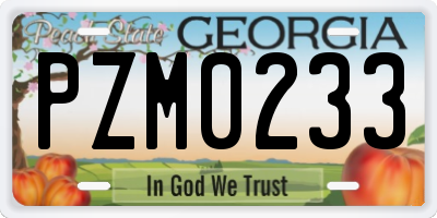 GA license plate PZM0233