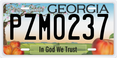 GA license plate PZM0237