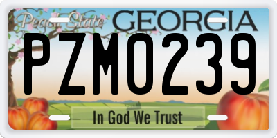GA license plate PZM0239