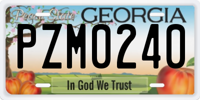 GA license plate PZM0240