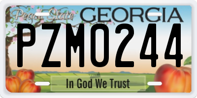 GA license plate PZM0244