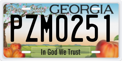 GA license plate PZM0251