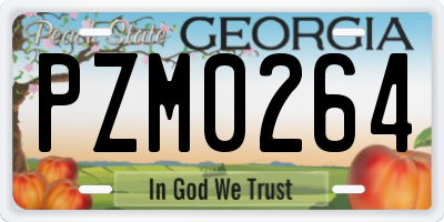 GA license plate PZM0264