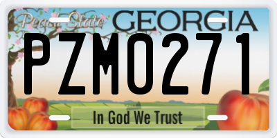 GA license plate PZM0271