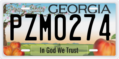 GA license plate PZM0274