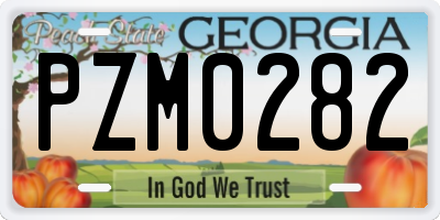 GA license plate PZM0282