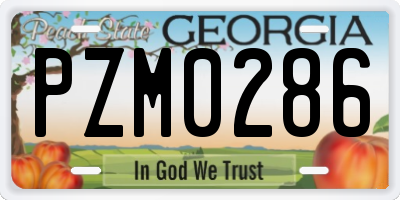 GA license plate PZM0286
