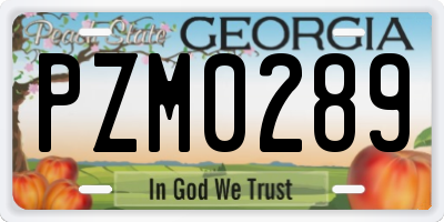 GA license plate PZM0289