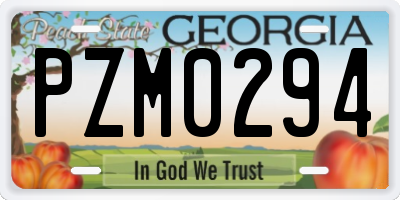 GA license plate PZM0294