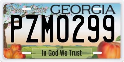 GA license plate PZM0299