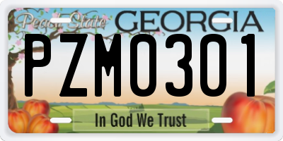GA license plate PZM0301